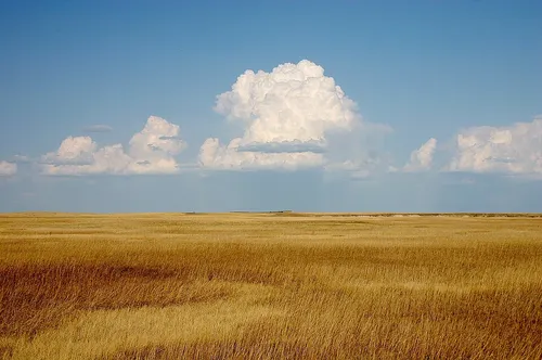 Landscape Collection